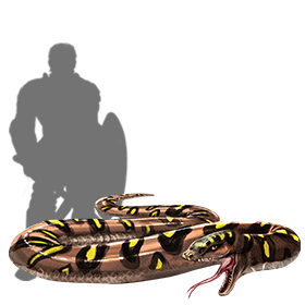 spotted_moon_snake